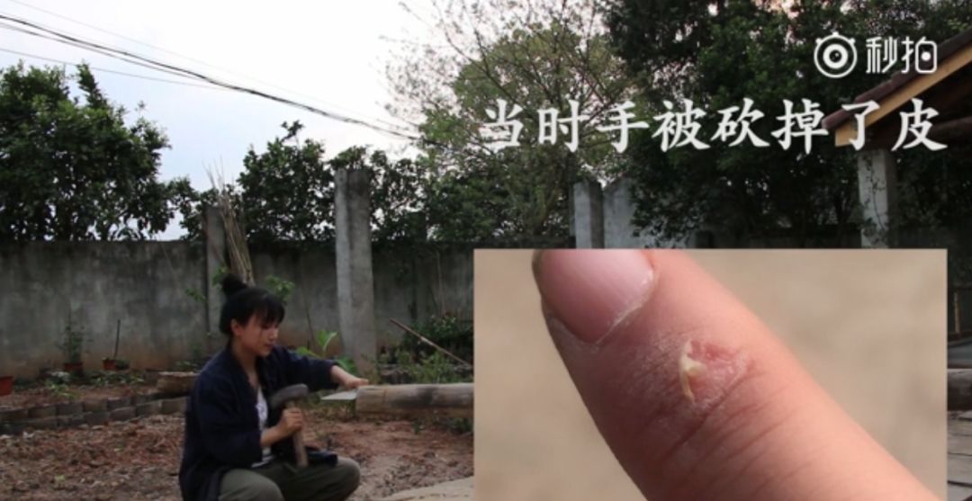 李子柒央视采访年度人物,央视评价李子柒启示