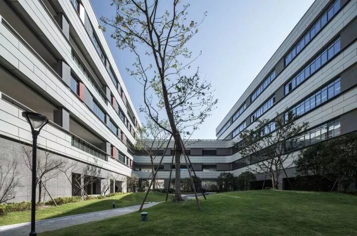 拒绝“千校一律”,浙大教院附中完成漂浮立体校园