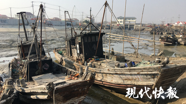 连云港海鲜直播带货赚多少钱一斤,连云港码头海鲜直播带货