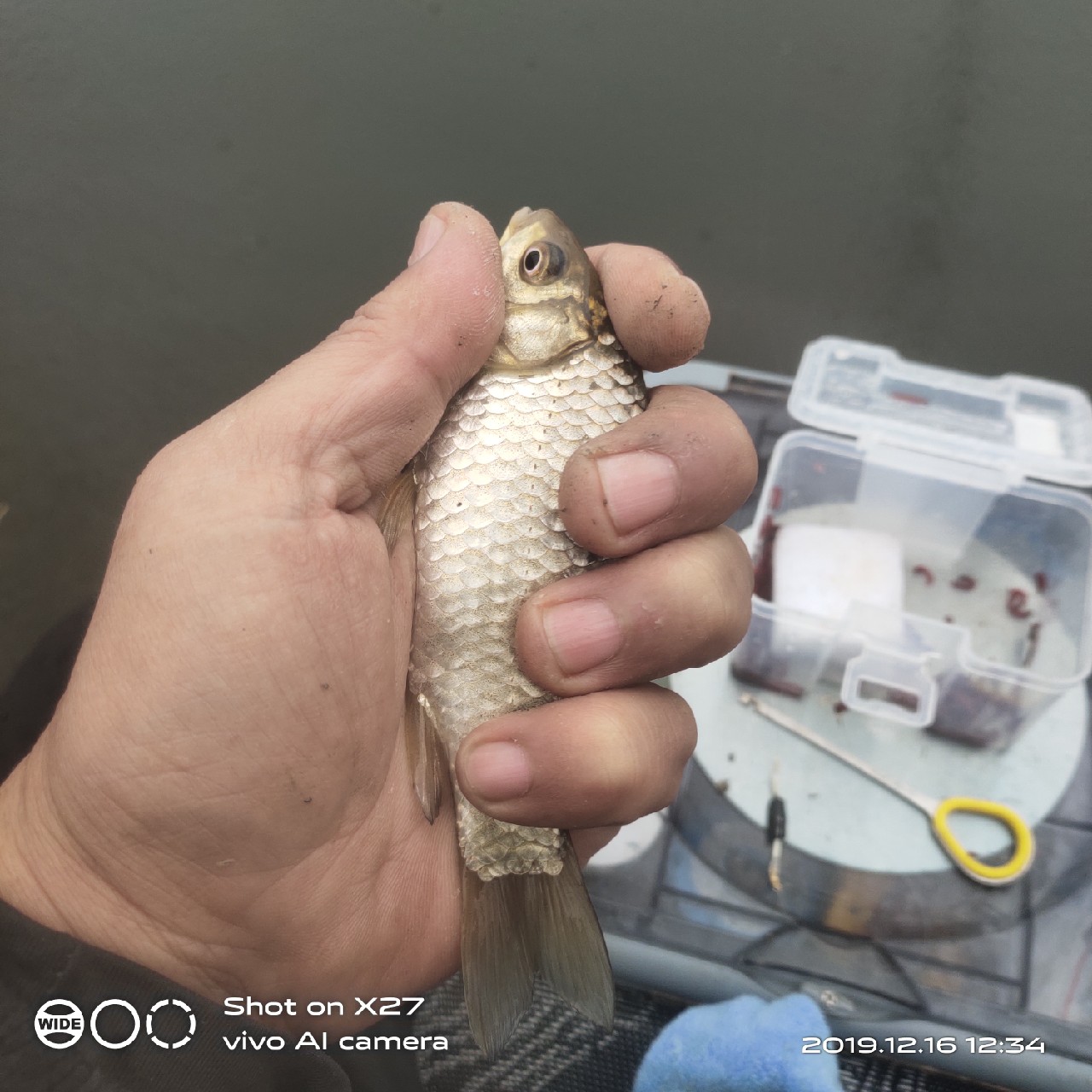 春天小雨天钓鲫鱼技巧和方法,钓鲫鱼的正确方法与技巧