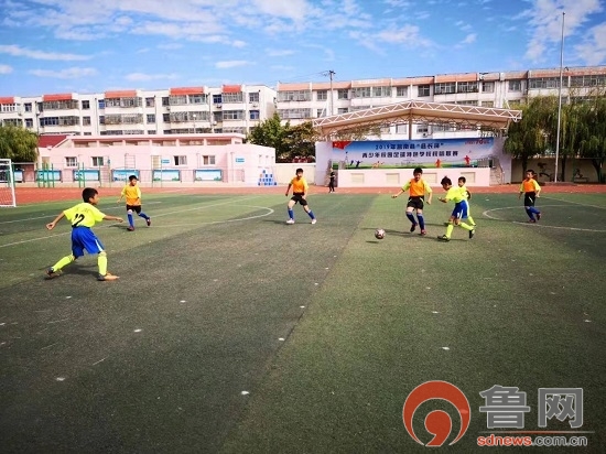 固始县县长杯足球联赛小学组,灌南县校园足球县长杯比赛