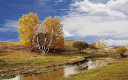 央视十大顶级背景音乐,央视常用100首经典背景乐曲