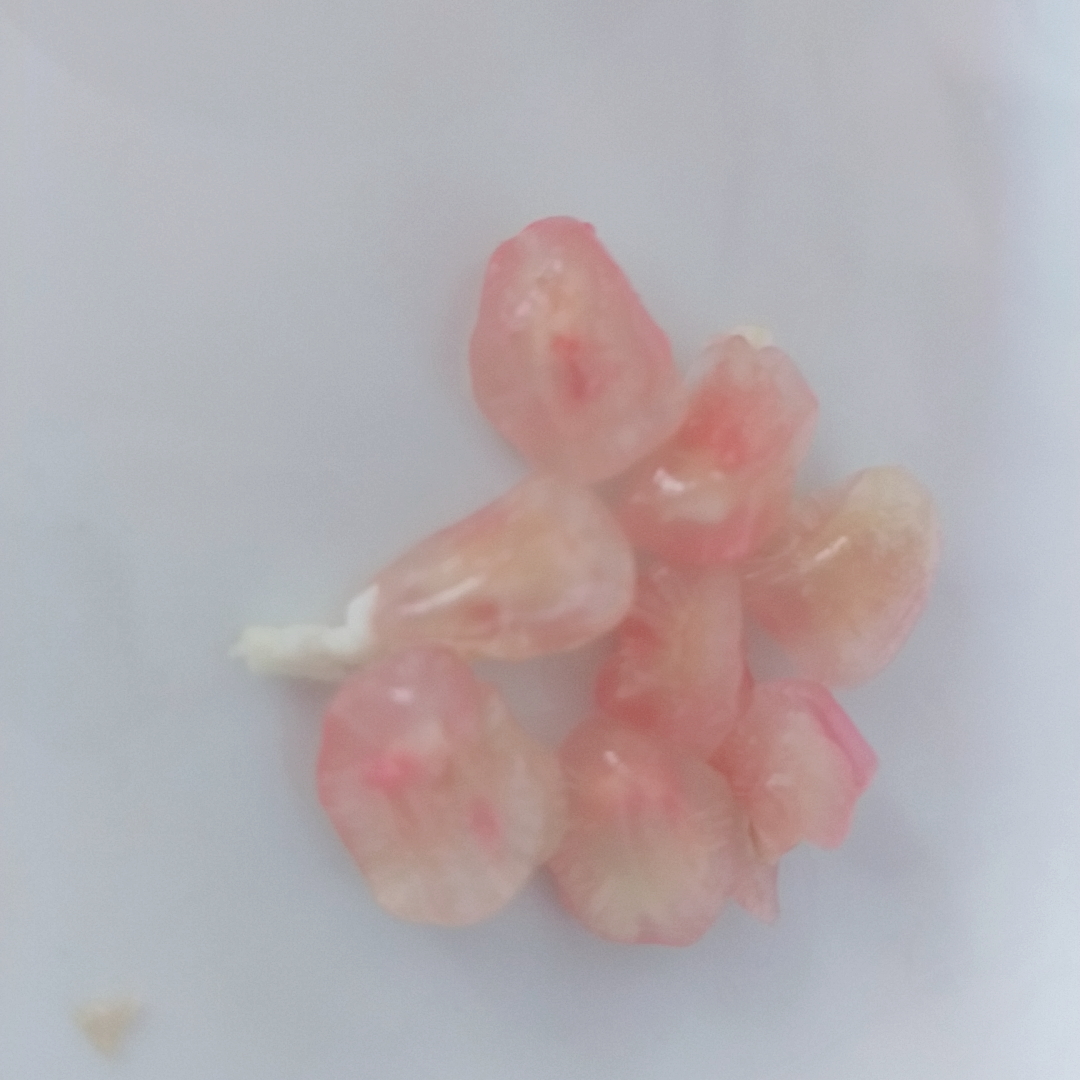 止咳的水果有哪些,止咳润肺水果排行榜图片