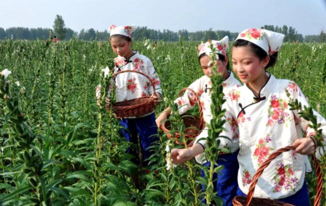 驻马店驿站历史,看不见的传奇
