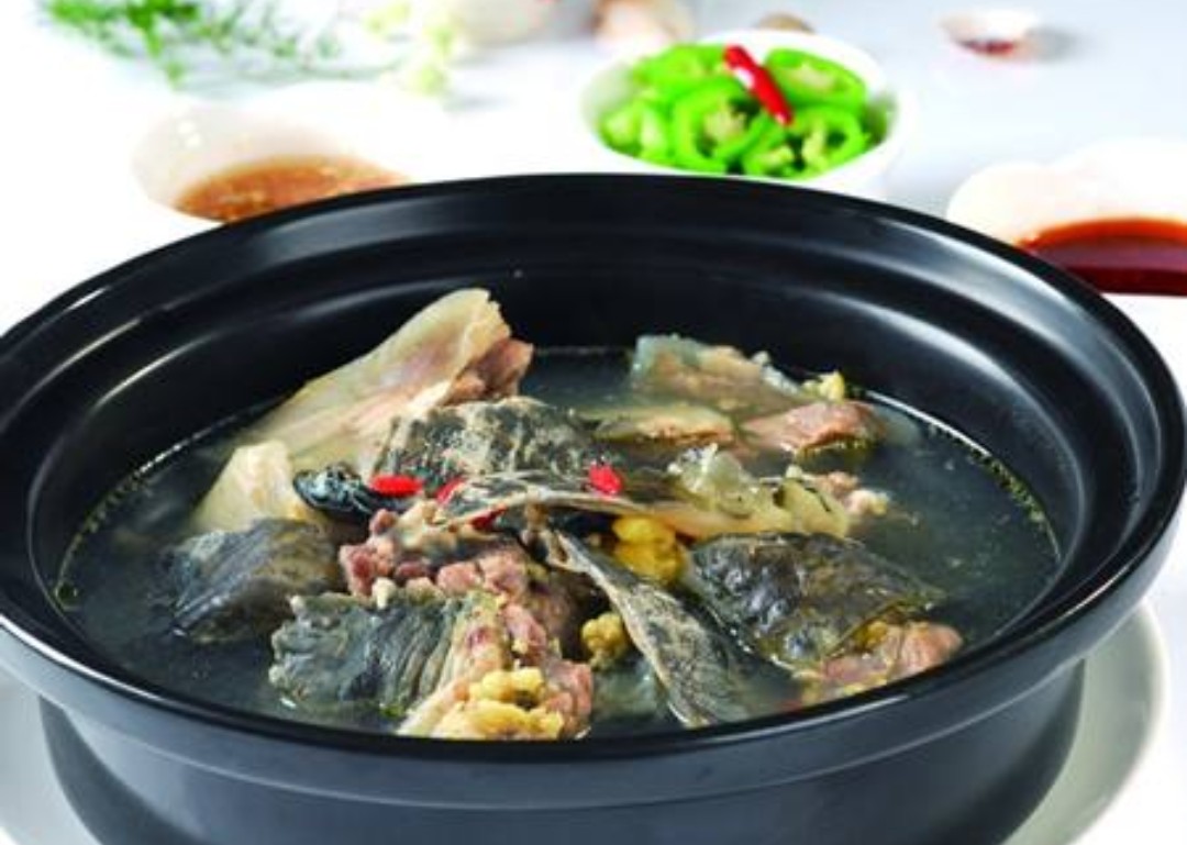 鱼有鱼路鳖有鳖道，详谈甲鱼生活习性和野钓技巧