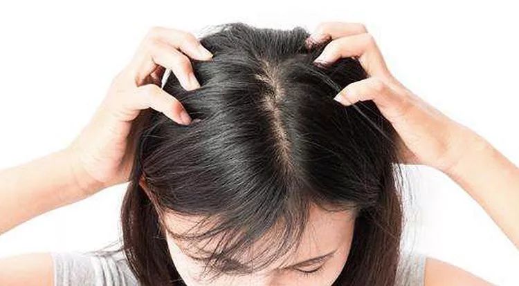 安睡魔毯！失眠的人盖它都睡着了，太神奇了