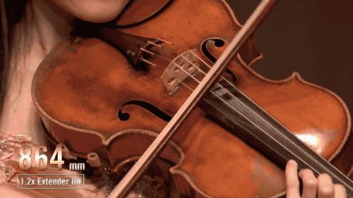 网络视频都是摆拍的吗,视频都是故意摆拍的吗