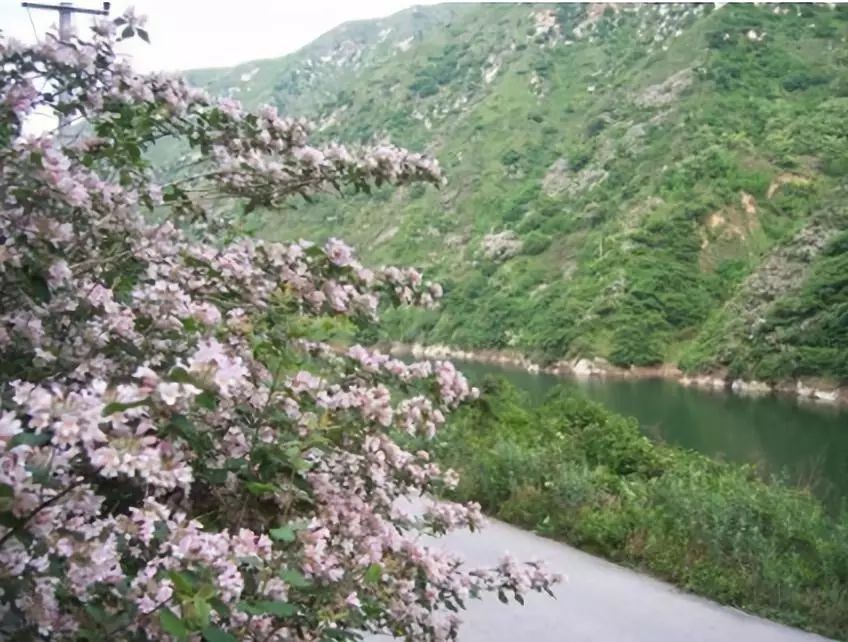 峪的读音和含义,峪的意思和含义