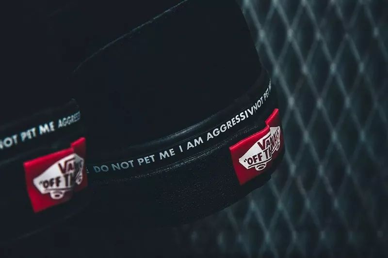 王安石与vans什么关系,vansoffthewall王安石