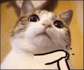 无锡到首尔的机票,无锡直飞东京价格