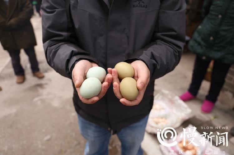 驻村第一书记代购员,第一书记带货贫困户土鸡蛋