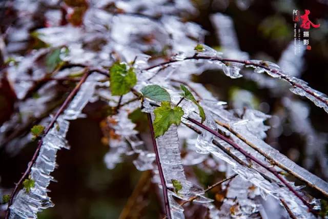 2020骞翠綑棰濆凡涓嶈冻,2019骞村凡浣欓涓嶈冻