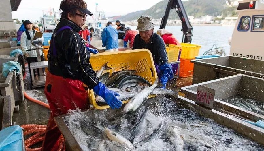北海道为什么会成为日本的福地,北海道为啥叫北海道