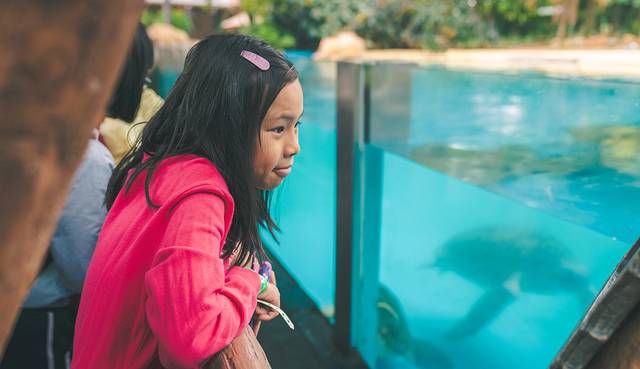 海底探秘视频,海底探秘海洋馆