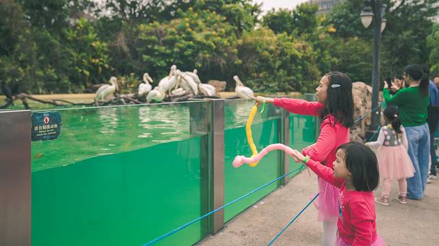 长隆海洋王国海牛馆探秘,珠海长隆海洋王国海底夜宿