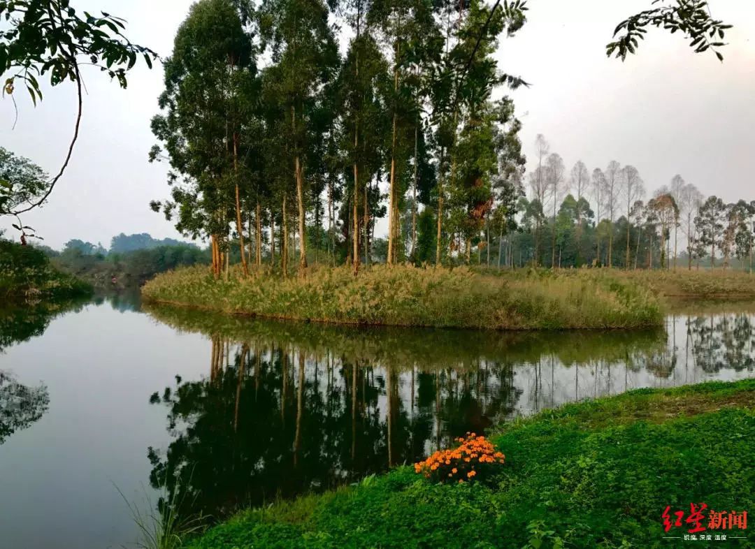 成都4号线最大的湿地公园,成都湿地公园能坐地铁去的有哪些