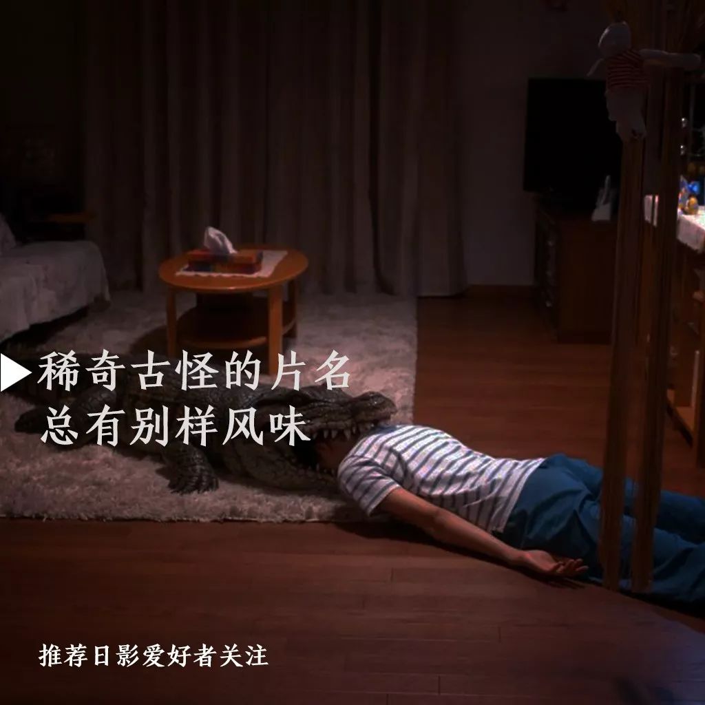 岛国电影怪奇片名大赏