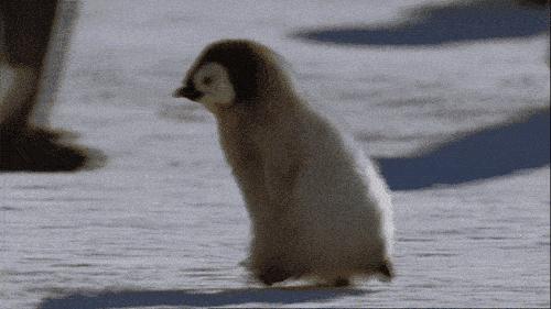 城东新添一处游乐体验式购物中心！开业折扣巨大：服饰3折起、餐饮5折…快来→