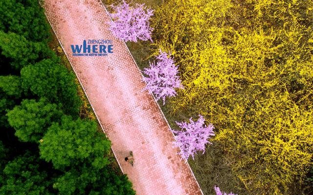 【双语】FantasticNewYearsEveinZhengzhou在郑州跨年,得劲儿