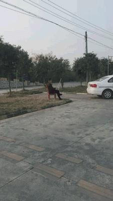 第一次结婚累不累,第一次结婚心里好激动