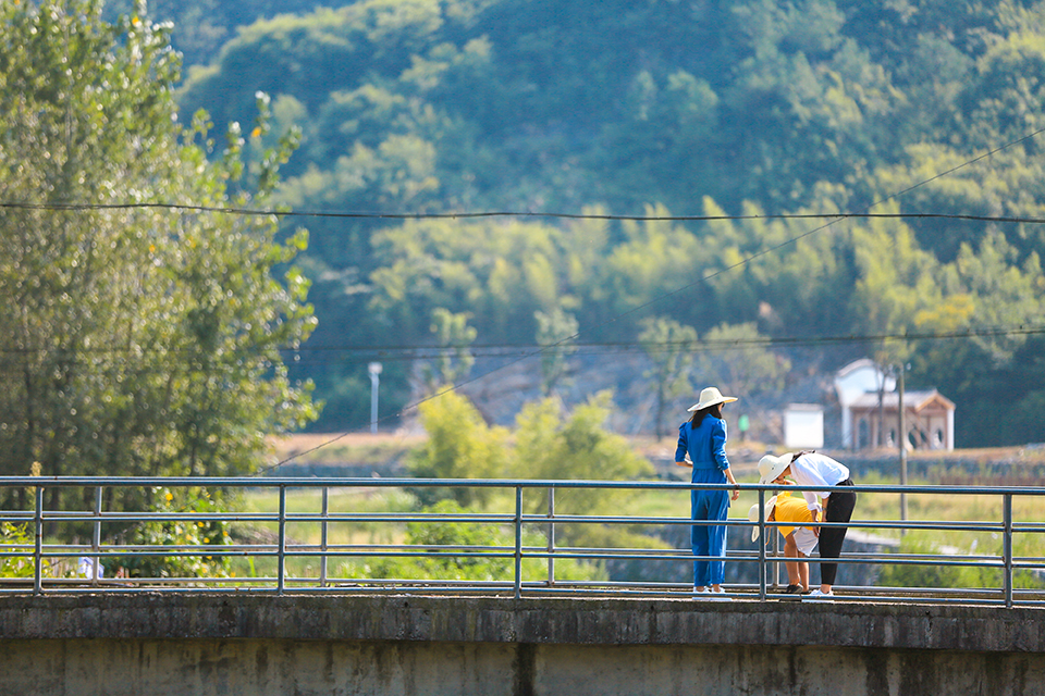 巧克力一开始是什么味道的,巧克力是什么味道的