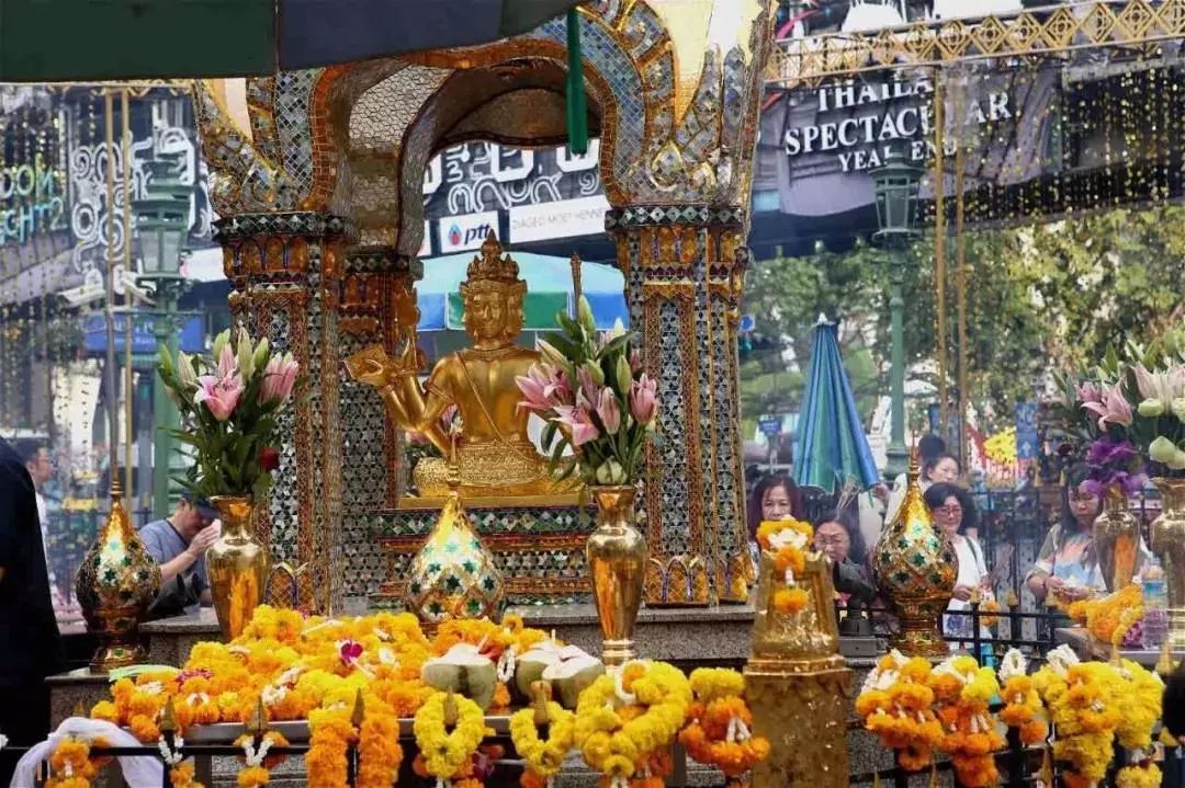 成都后花园独栋大别墅,成都后花园最火的地方