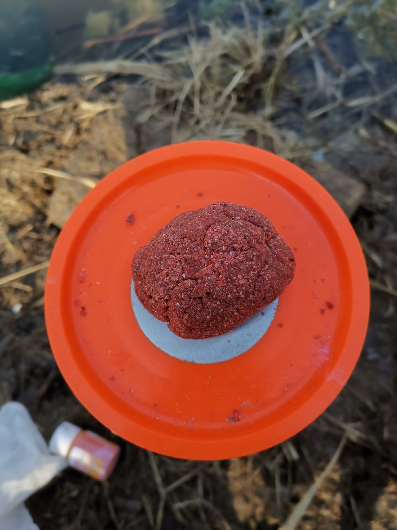 钓鱼十大注意事项,钓鱼需要注意的21要点