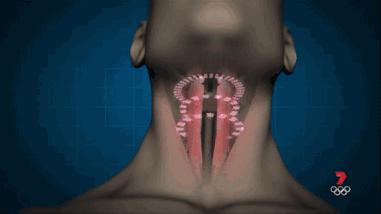 呼噜娃完整视频,呼噜娃原版视频