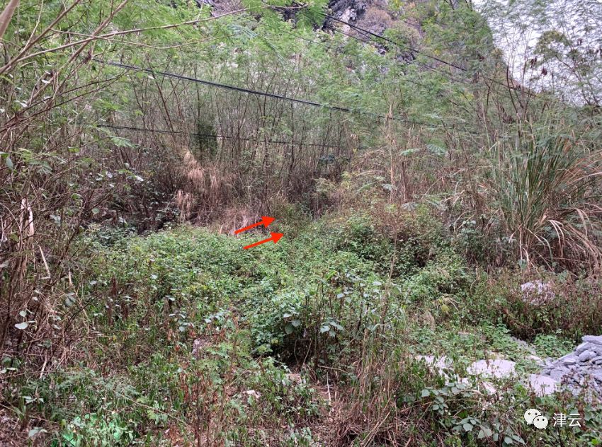 一桩陈年杀人案，两人喊冤30载：三个“凶犯”都不熟，去杀人不怕败露吗？