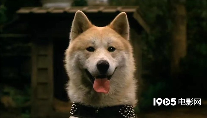 称霸元旦档的TA们,凭啥在银幕上备受宠爱?