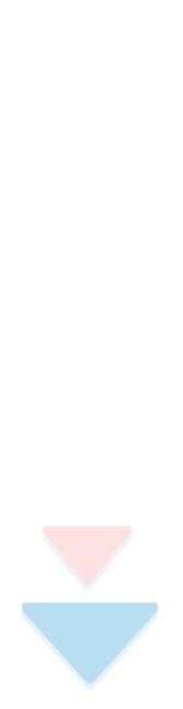 “花鸟鱼虫”、“白鹤成仙”......荔湾这些地名背后的故事你知道吗？