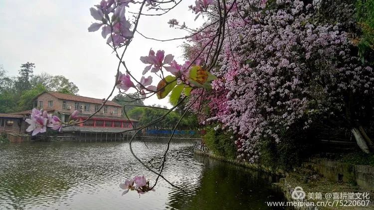 柳城周边游玩景点推荐,柳北旅游推荐