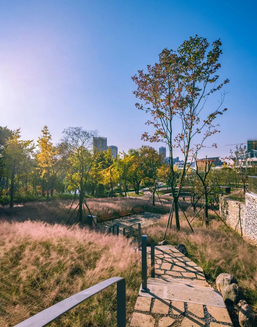 西秀区武当路虹山湖市民公园,安顺虹山湖市民公园