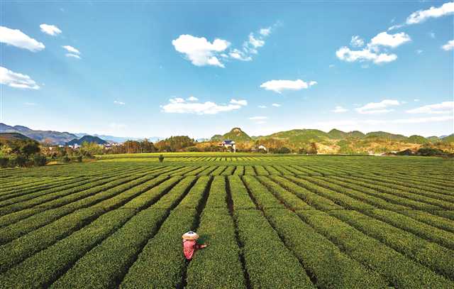 秀山县融合五大产业巩固脱贫成果,重庆秀山脱贫攻坚短视频