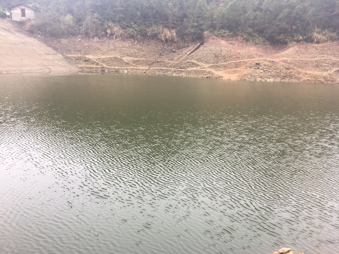 夏季小杂鱼闹窝怎么钓大板鲫,冬钓大板鲫如何避开小鱼