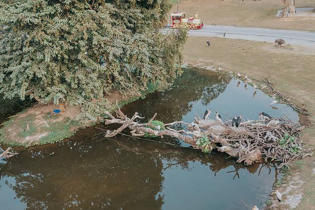 来长隆隆重过大年暖冬游长隆,暖冬游长隆福路通