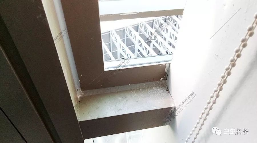 商铺有老鼠怎么灭鼠,餐厅老鼠频发灭鼠公司出动小妙招