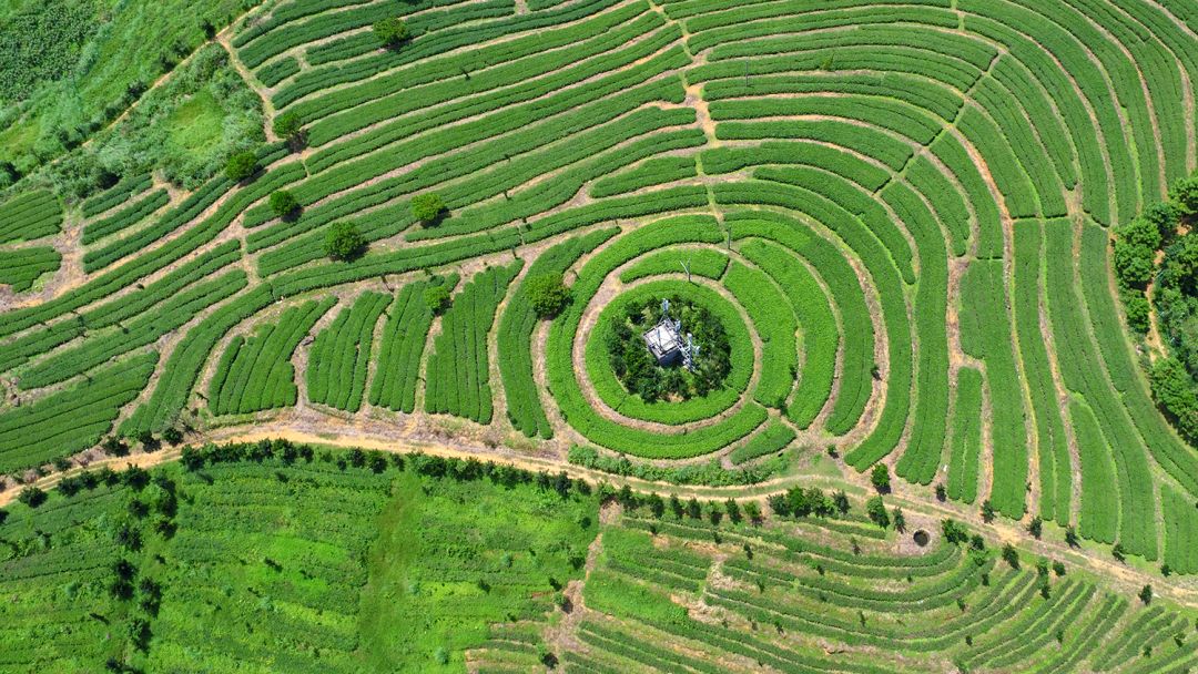 吃喝玩乐云霄,云霄吃喝玩乐一日攻略