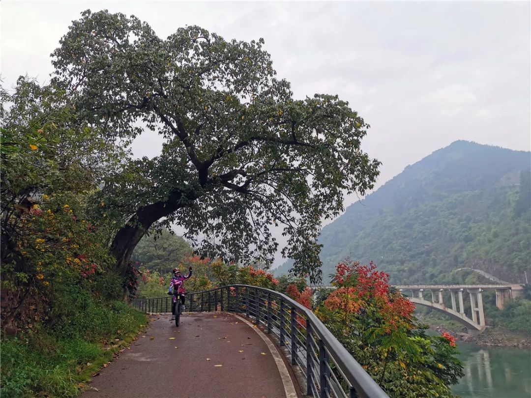 茅台到赤水骑行,赤水至茅台镇骑行栈道