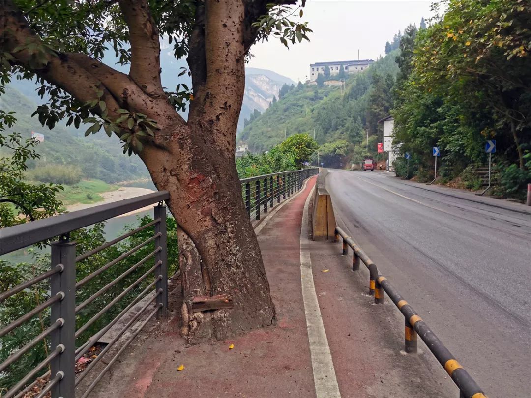 茅台到赤水骑行,赤水至茅台镇骑行栈道