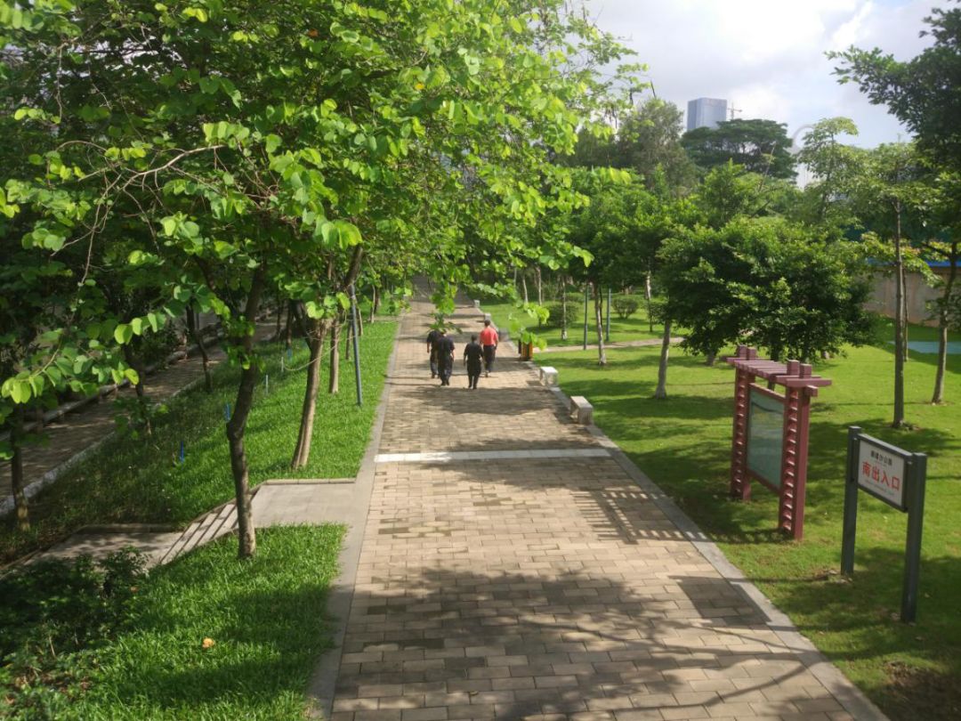 广州海珠区免费公园推荐,海珠区最近的公园
