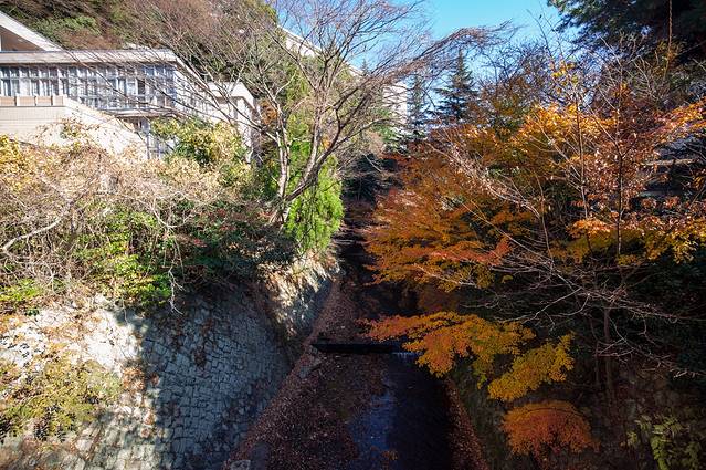 日本亲子游六日游哪里好玩,日本亲子游去哪里玩