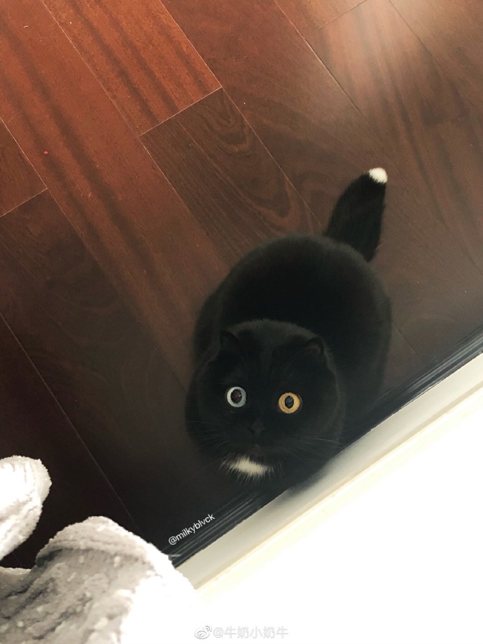 羽绒服背后带扣子,羽绒服背后的带子是挂衣服的吗