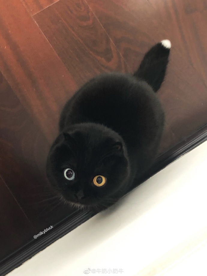 羽绒服里边的带子作用,彪马羽绒服带子干嘛用的