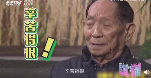 90岁袁隆平再上热搜：永不退休的他，才是这个时代真正的巨星