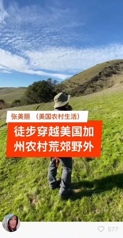 本来想去薅羊毛，却沉迷在这张“活的”地图上……