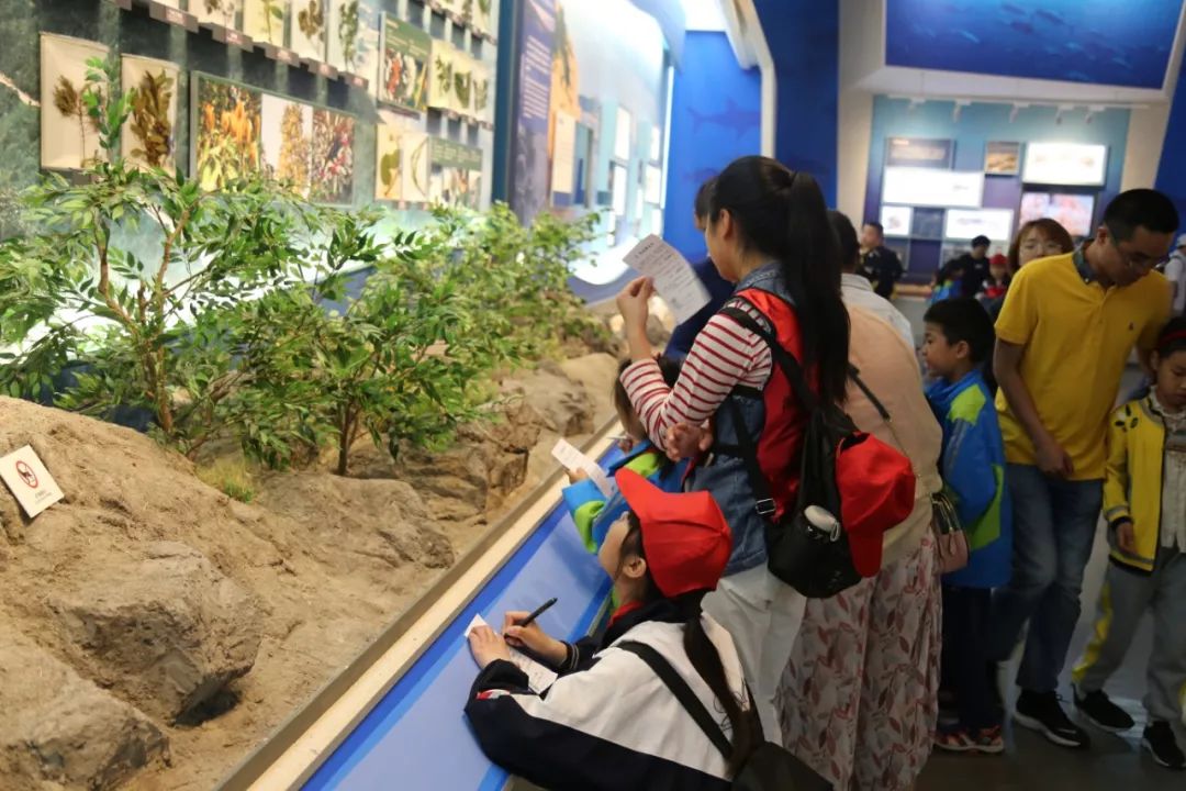 元旦假期还不知道去哪里度假,假期不知道去哪玩来邢台看看