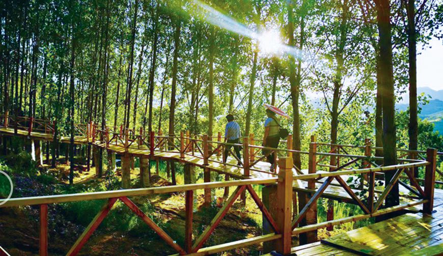 日本特惠旅游2月,日本旅游免费吗