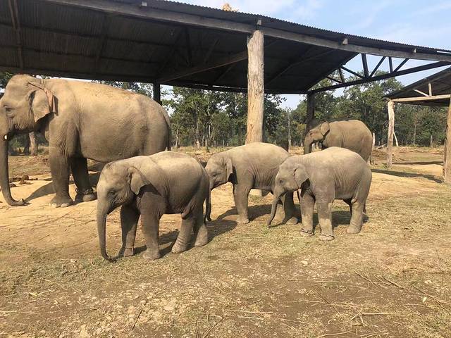 南亚国家旅行,南亚环球旅行