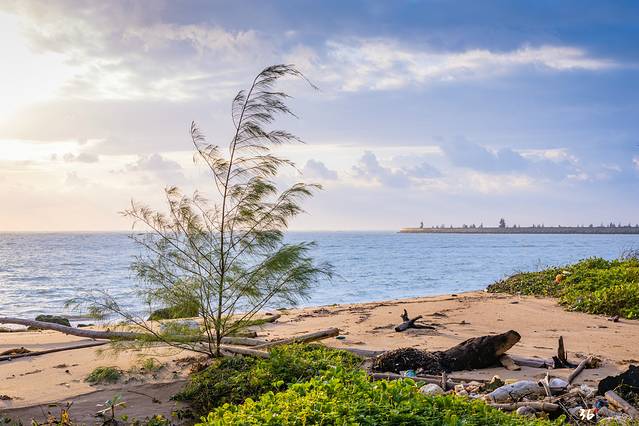 南海往事,南海往事电影